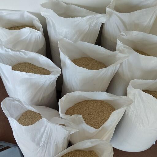 برنج طارم هاشمی درجه یک (تضمین کیفیت و پخت) بسته 10 کیلویی