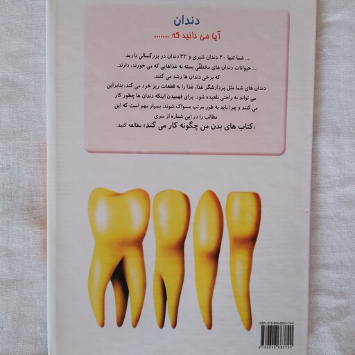 کتاب آموزشی بدن ما چگونه کار می کند  13 دندان نویسنده آلبرت بریل ترجمه طیبه سادات صالحی مرضیه سادات صالحی