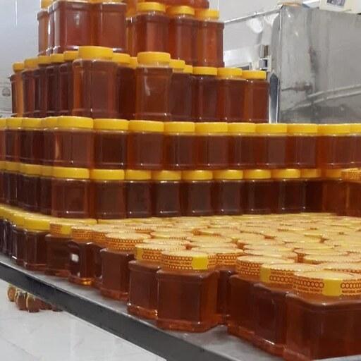 عسل طبیعی چهل گیاه ممتاز  1 کیلویی.برداشت امسال با بهترین عطر و کیفیت.با تاییدیه آزمایشگاه.ارسال رایگان.فروش  تکی و عمده