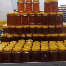 عسل طبیعی آویشن  1 کیلویی. برداشت امسال با بهترین عطر و کیفیت. با تاییدیه آزمایشگاه. ارسال رایگان.فروش بصورت  تکی و عمده