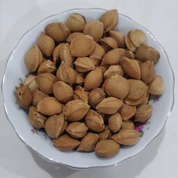 هسته زردآلو شیرین و پر مغز(200گرمی)