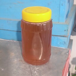عسل گون یک کیلویی ( زرنشان) ساکارز  زیر 1 درصد طبیعی و ارگانیک عسلی خوش طعم از دل کوهای الوند 