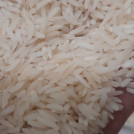 برنج هاشمی آستانه اشرفیه سورت شده 1 کیلویی (تستر)