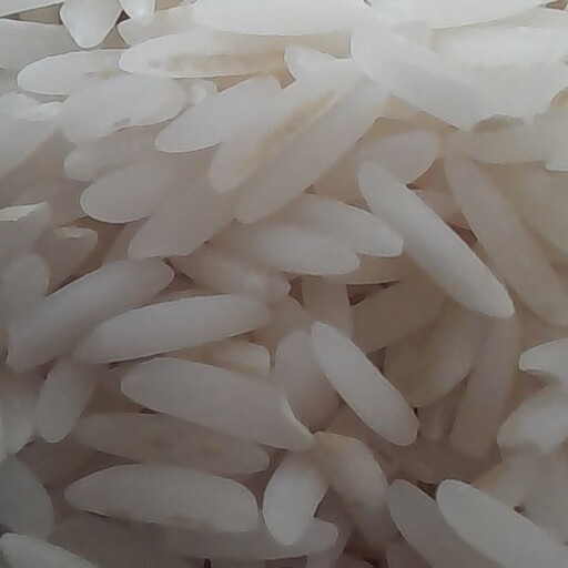 برنج هاشمی آستانه اشرفیه سورت شده 1 کیلویی (تستر)