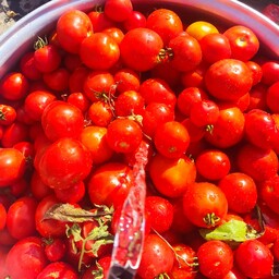 رب گوجه خونگی صد درصد خالص
