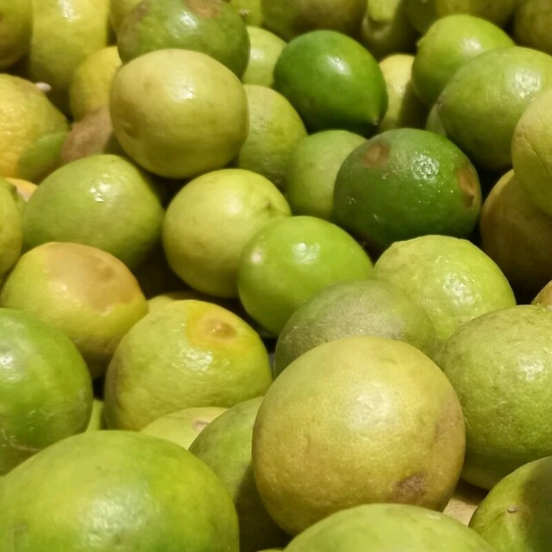 لیمو خشک بصورت اسلایس یا پودر کیلویی 200