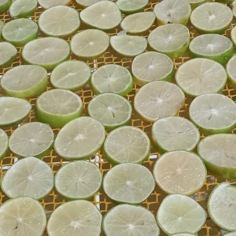 لیمو خشک بصورت اسلایس یا پودر کیلویی 200