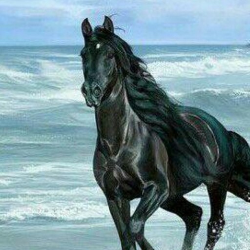 تابلو نقاشی رنگ و روغن اسب سیاه کنار دریا روی بوم