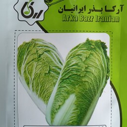 بذر  کاهو پیچ چینی آرکا بذر ایرانیان 