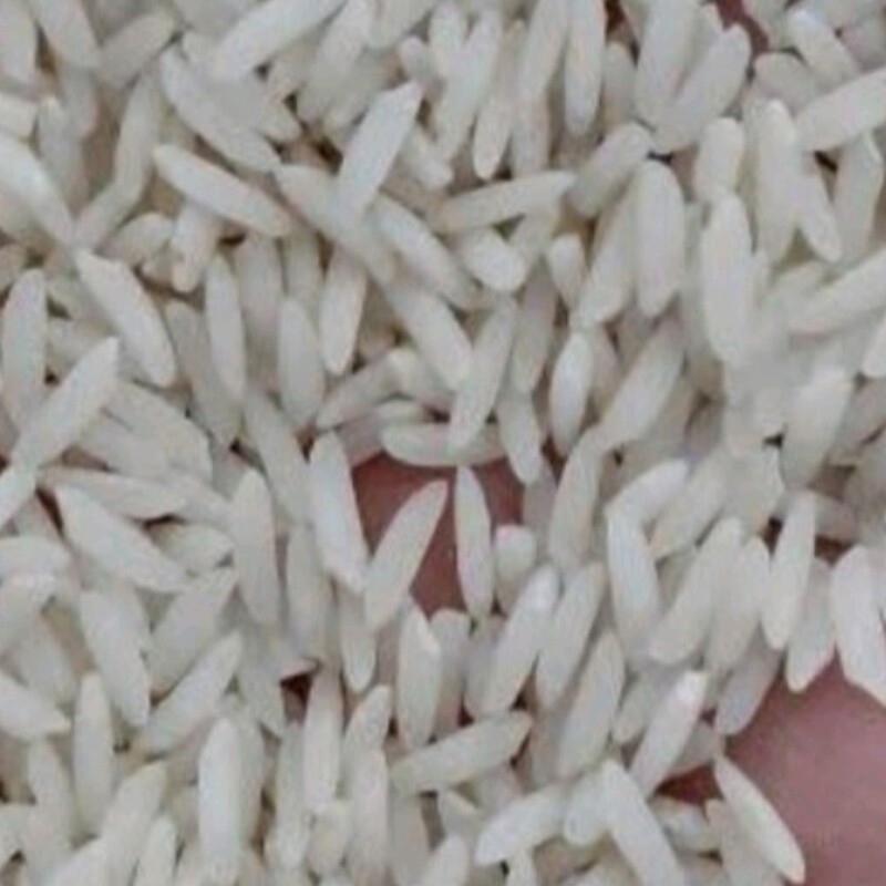 برنج طارم هاشمی فوق ممتاز استانه اشرفیه  تضمین کیفیت وپخت، ارسال فوری