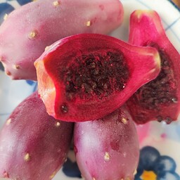 میوه ی  کاکتوس اپونتیا ( اگلابی خاردار)  قرمز و کمیاب بسیار خوشرنگ و شیرین با رنگی عالی برای پخت مربا یا شربت
