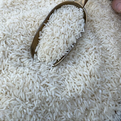 برنج طارم محلی اصیل امساله مازندران درجه یک  الک شده بسته 20 کیلویی