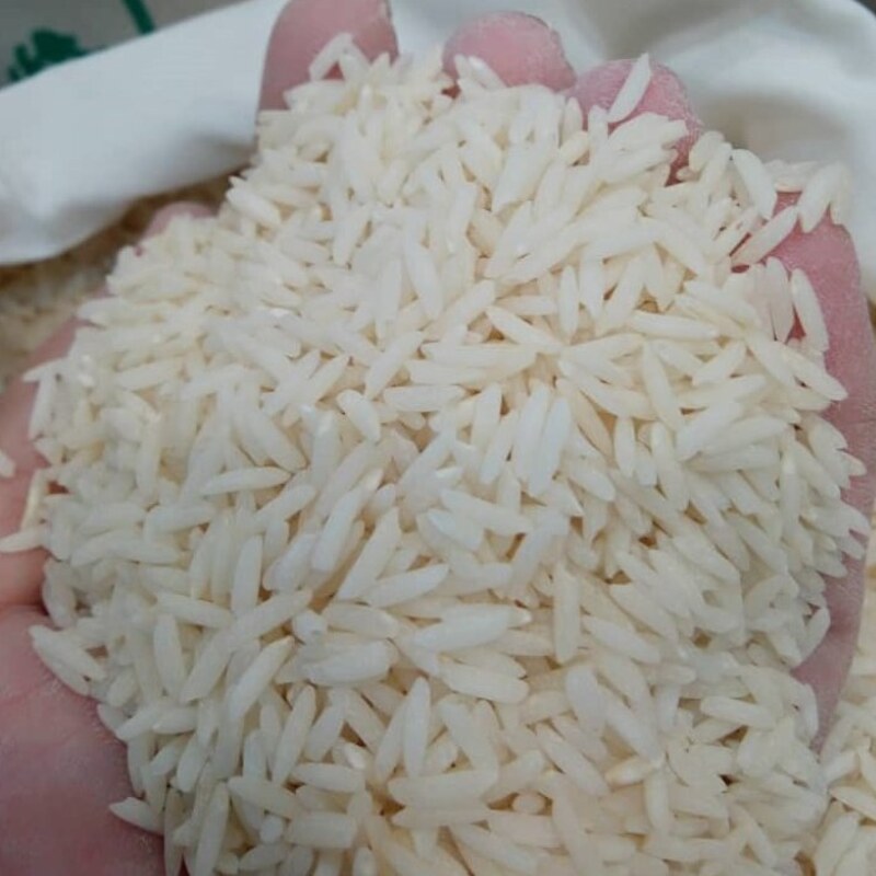 برنج طارم کشت دوم ارگانیک درجه یک کشت امساله  فریدونکنار بسته 5 کیلویی ارسال رایگان