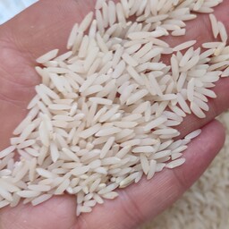 برنج طارم هاشمی 