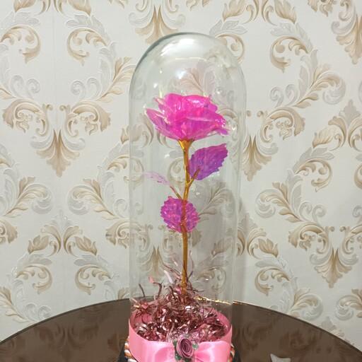 گل رز صورتی تک شاخه با باکس شیشه ای 