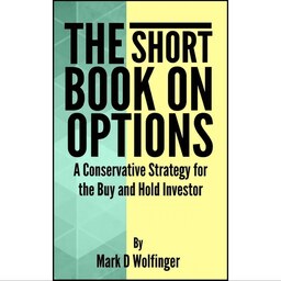کتاب زبان اصلی The Short Book on Options اثر Mark D Wolfinger