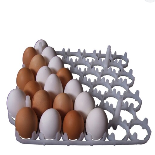 شانه  تخم مرغ  مناسب جوجه کشی
