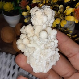 سنگ راف کلکسیونی آراگونیت سفید گل کلمی با وزن 85 گرمی مناسب کلکسیون و دکور خانه و مغازه