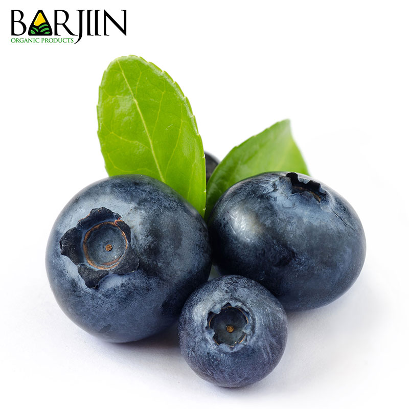 بلوبری خشک شده عموعطار - بارجین – یک کیلویی