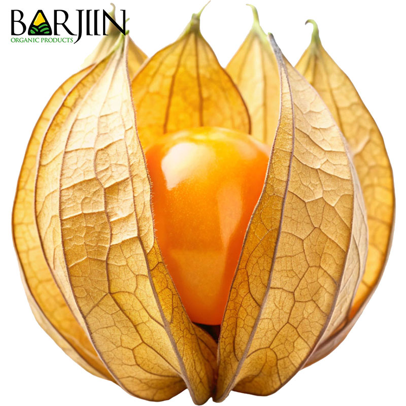 فیسالیس خشک شده عموعطار - بارجین
