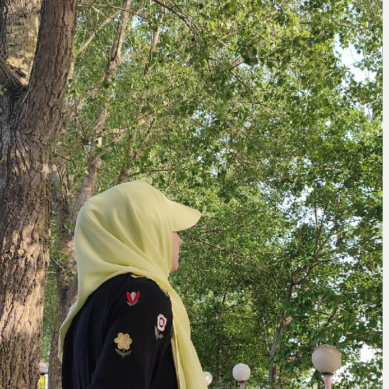 شاپ نگار