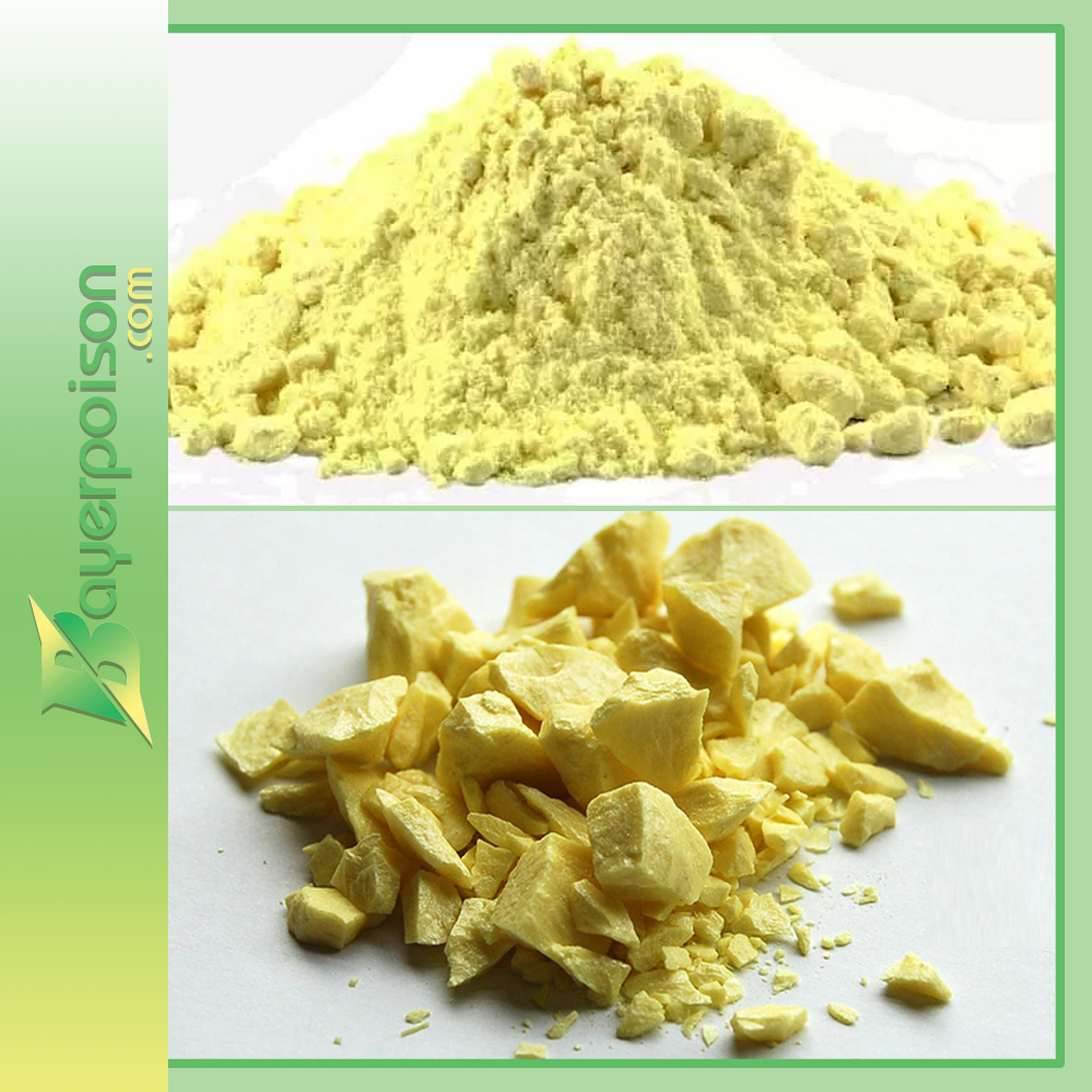 پودر گوگرد کمیاب مخصوص ساس