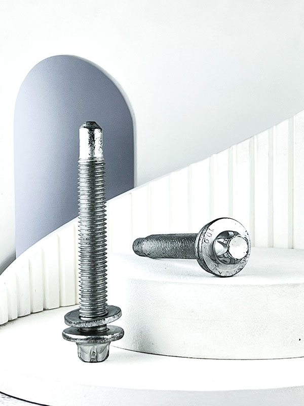 پیچ رام اکسل پژو 206 بلند بسته 10 عددی