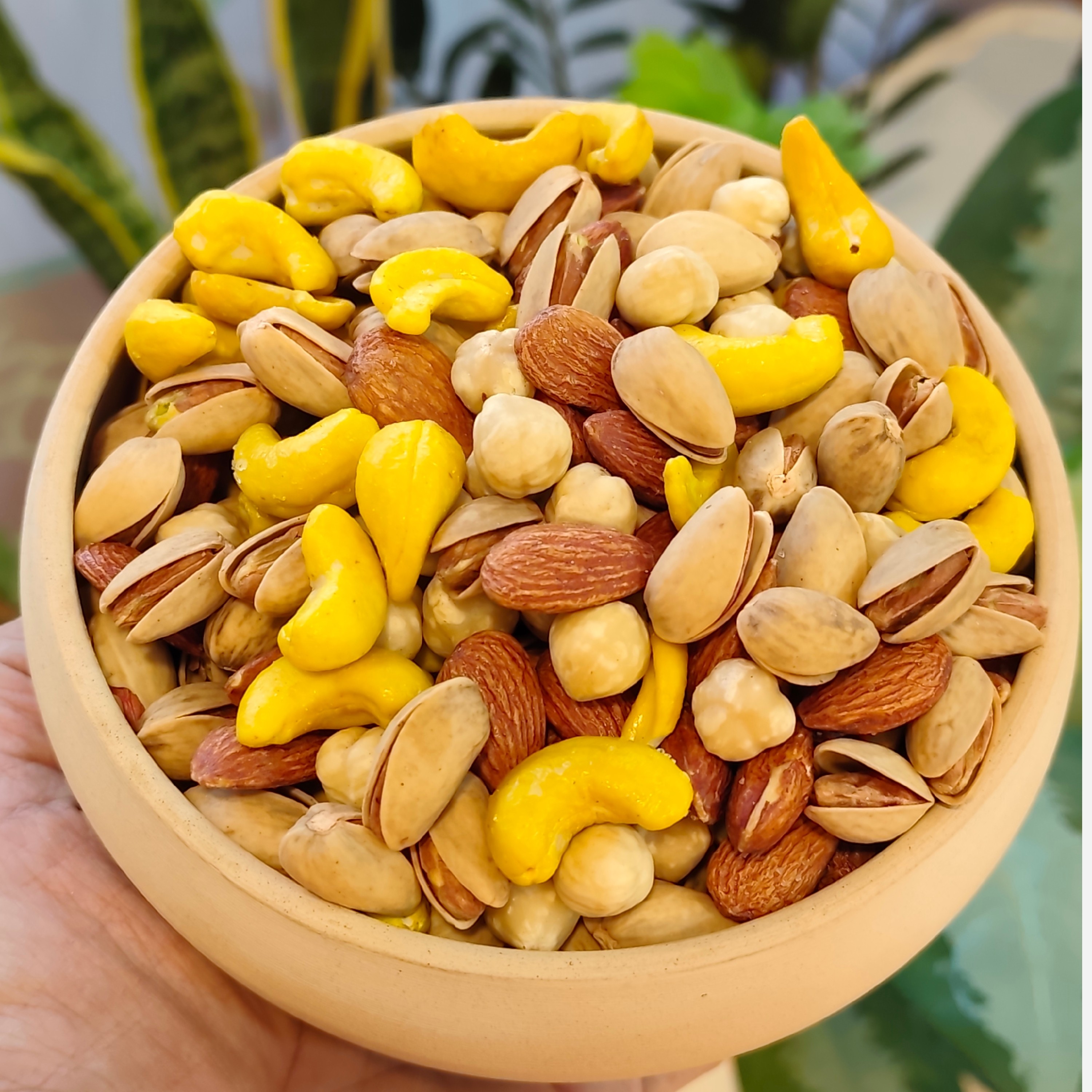 چهار مغز لوکس شور 500گرمی