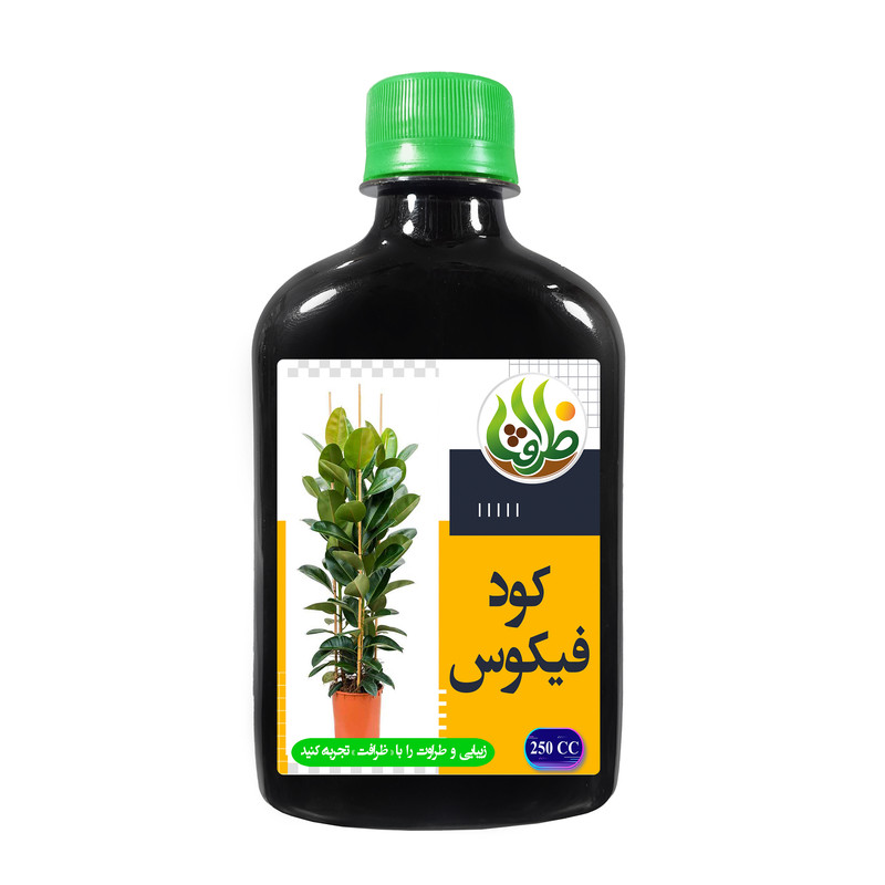 کود فیکوس ظرافت مدل KO18907 حجم 250 میلی لیتر