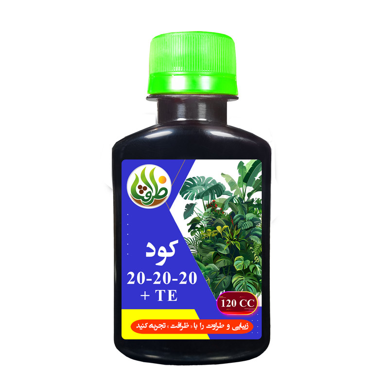 توضیحات تصویر