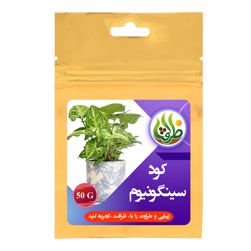 توضیحات تصویر