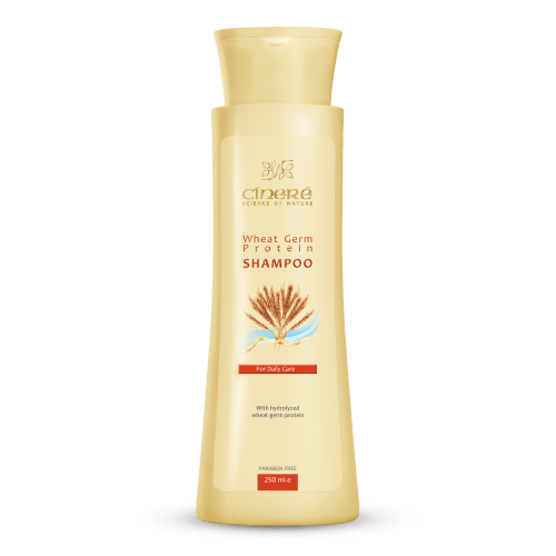 شامپو پروتئینه جوانه گندم 250 میلی لیتری سینره Wheat Germ Shampoo 250 ml Cinere