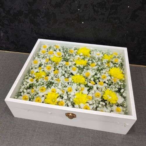 فروش عمده گل نرگس 20342