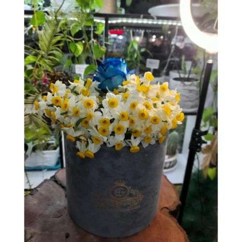 گل نرگس با طراحی جدید 1401 20350