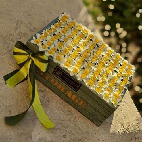 قیمت گل نرگس در بازار تهران 20444