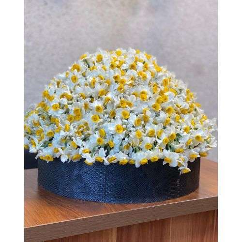 گل نرگس برای خواستگاری 20416