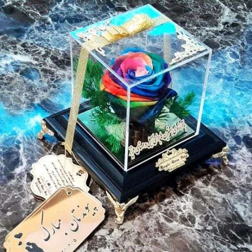 گل رز جاودان در تهران a1069