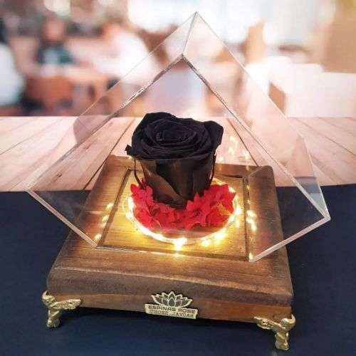 خرید گل رز مشکی جاودان a1066