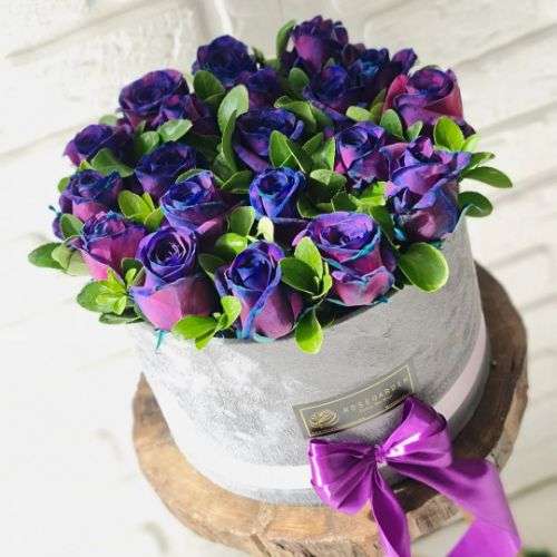 گل رز بنفش قیمت a1200