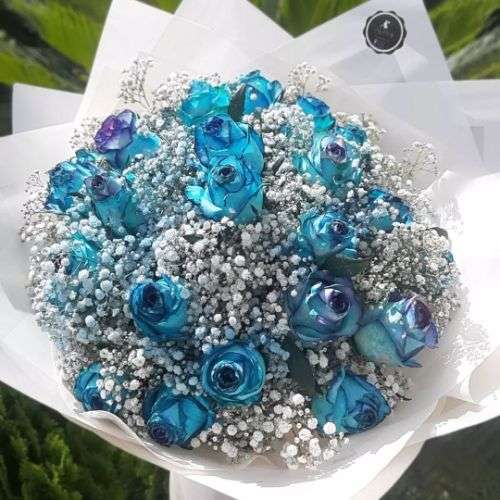 جدیدترین گل رز آبی a1123