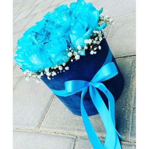 گل رز اینترنتی هلندی آبی a887