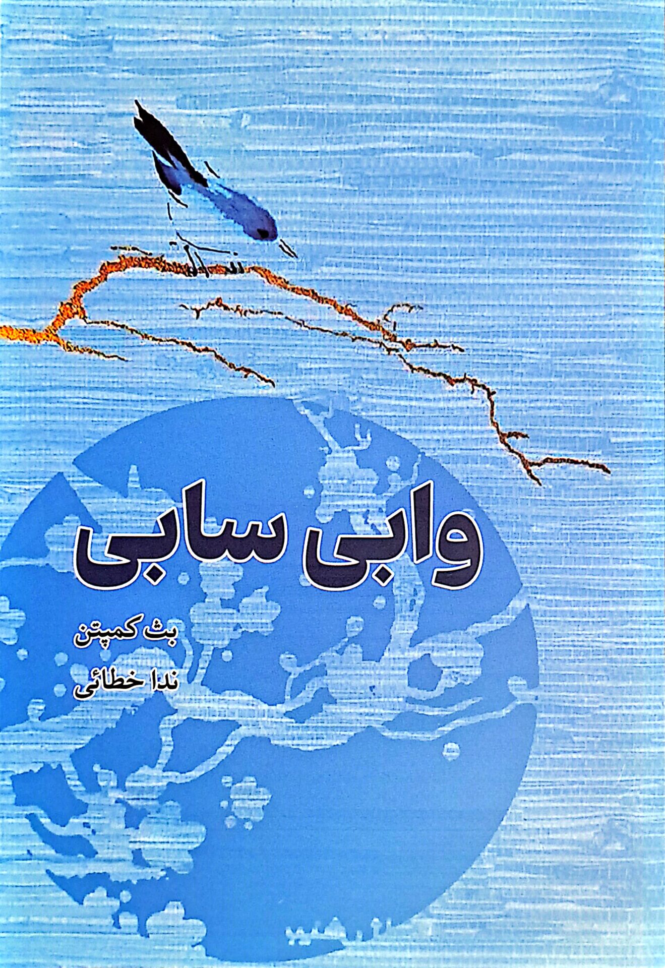 کتاب وابی سابی