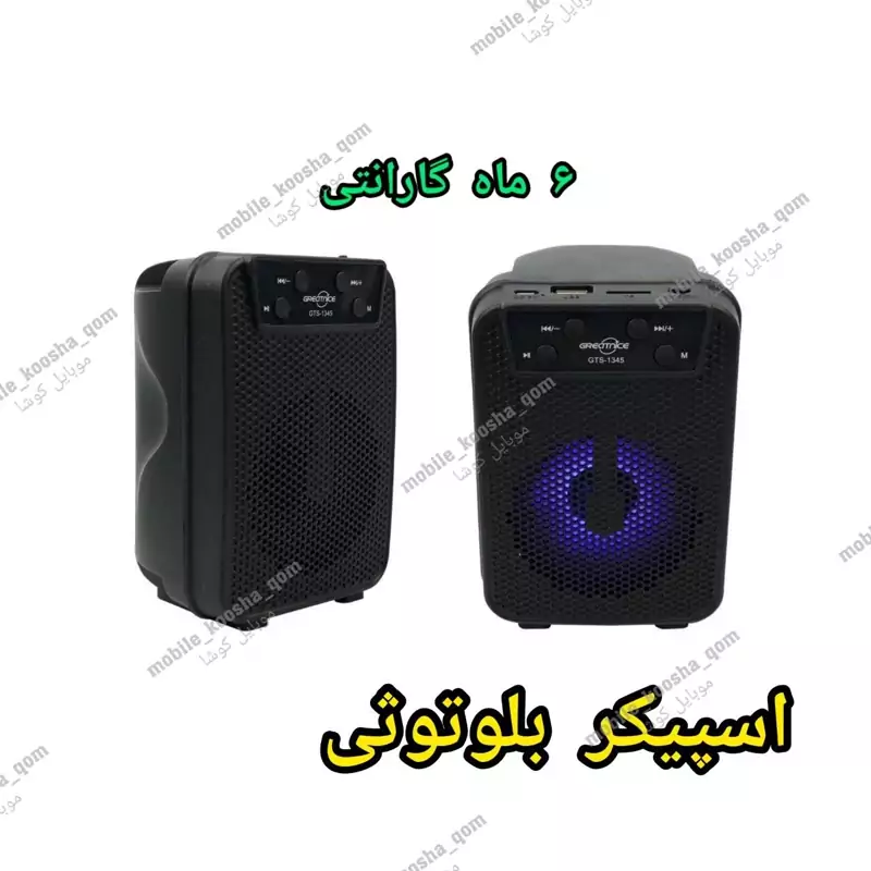 اسپیکر گریت نایس مدل GTS 1345