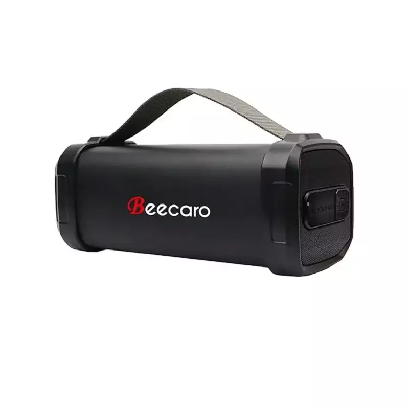 اسپیکر قابل حمل بیکارو 