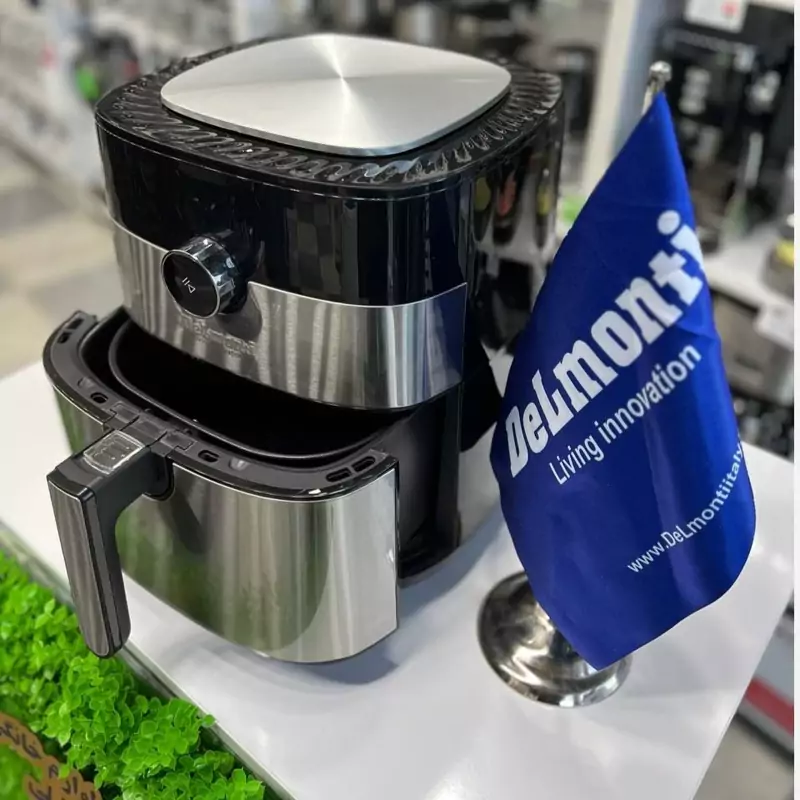 سرخ کن دلمونتی مدل DL 820