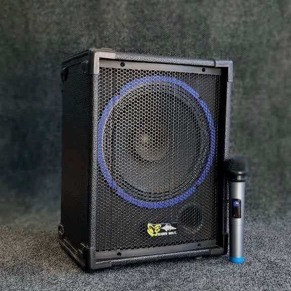 اکو همراه 12 اینچ برین صوت مدل 12150 با میکروفن بیسیم (پس کرایه)