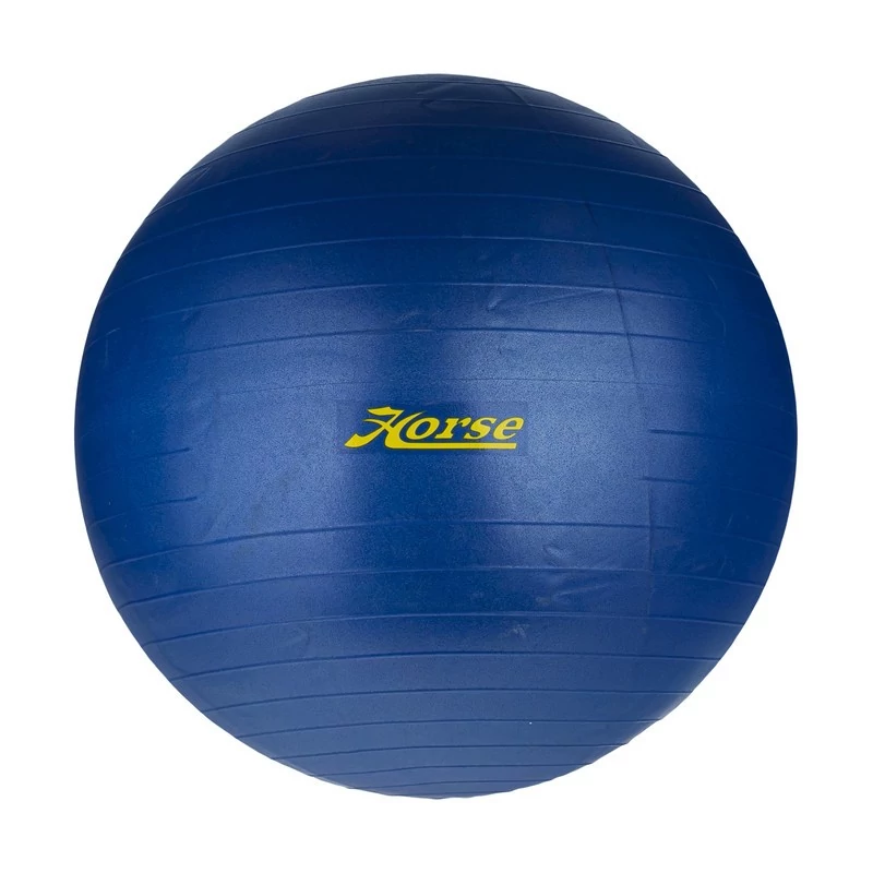 توپ تناسب اندام هورس مدل 991223375