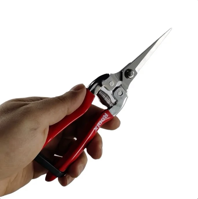 قیچی میوه چین رونیکس