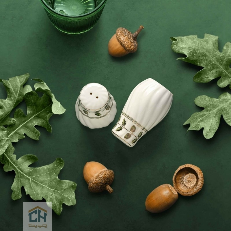 ست 2 تایی نمکدان چینی گلدکیش طرح ROYSA مدل GK701103-2