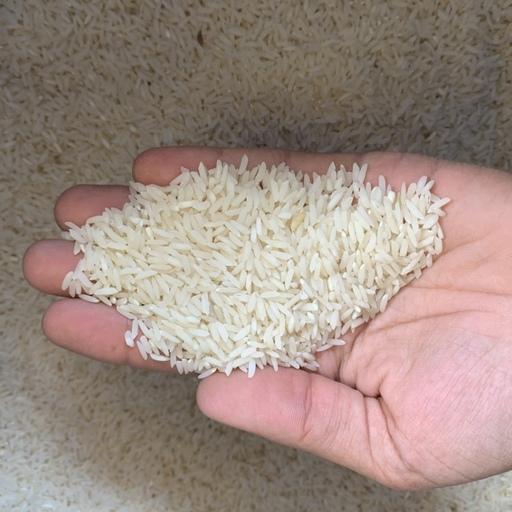 برنج طارم هاشمی خالص عطری محصول شمال 10 کیلویی (ارسال رایگان)